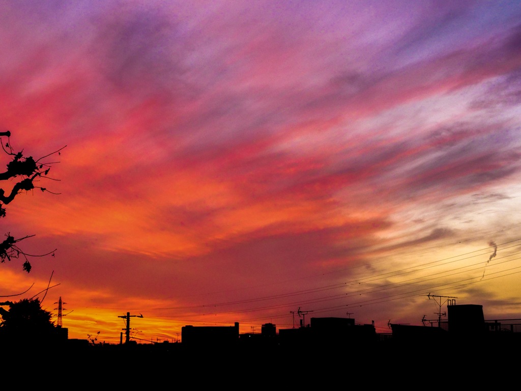 朱染空