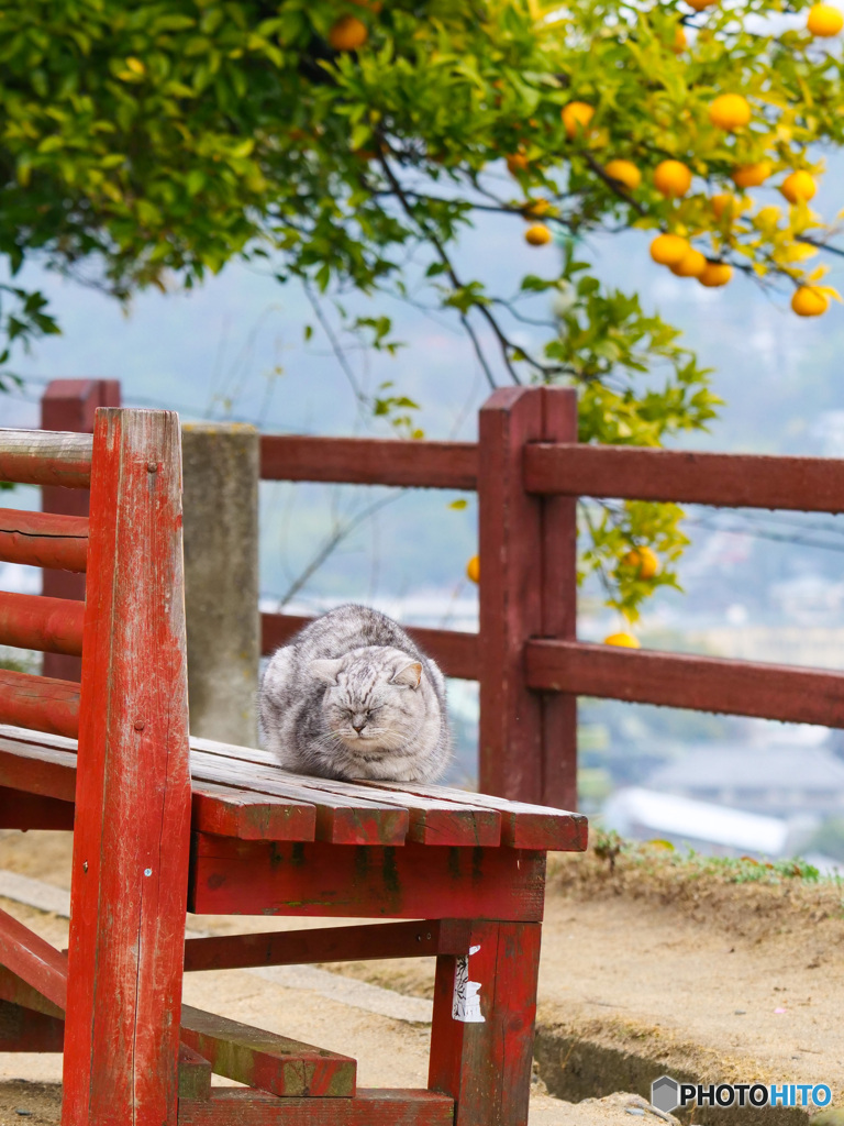 のんびり年越し