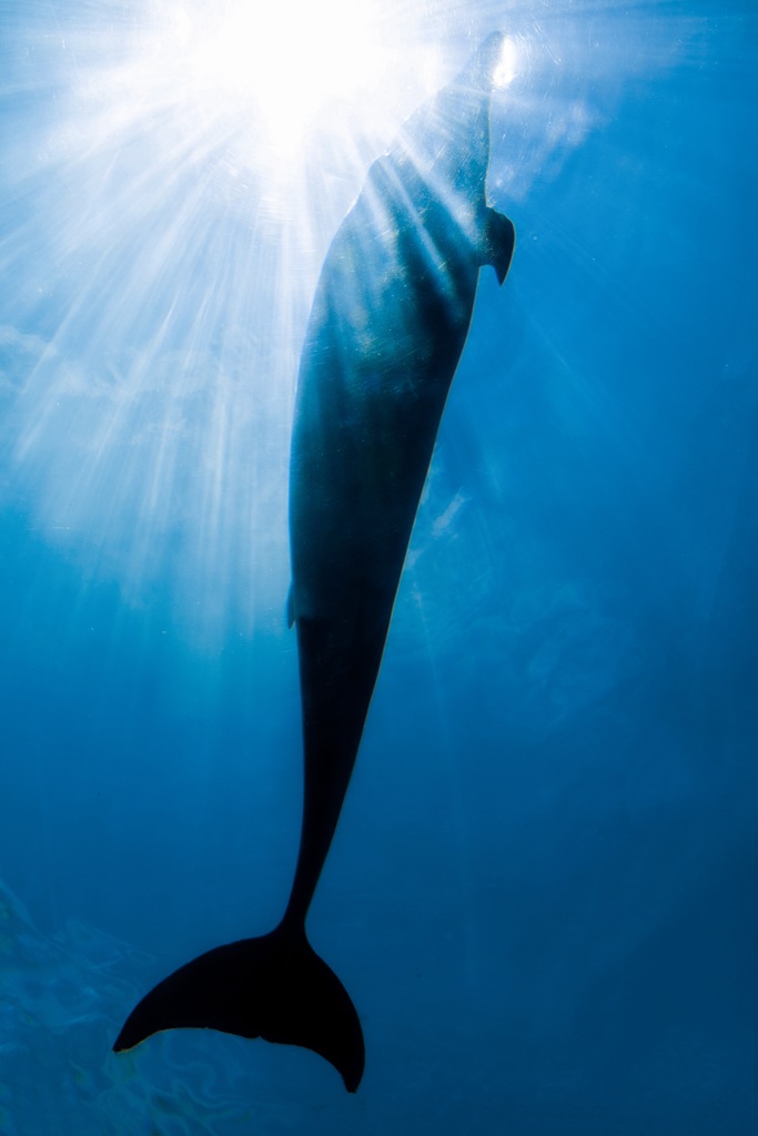 上向いて 前向いて まっすぐ届け。