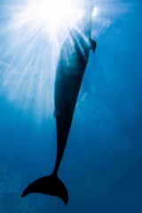 上向いて 前向いて まっすぐ届け。