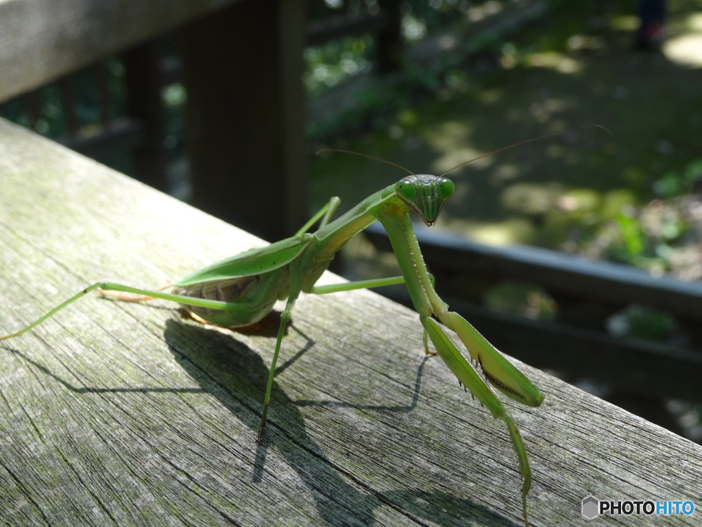 見～た～な～～