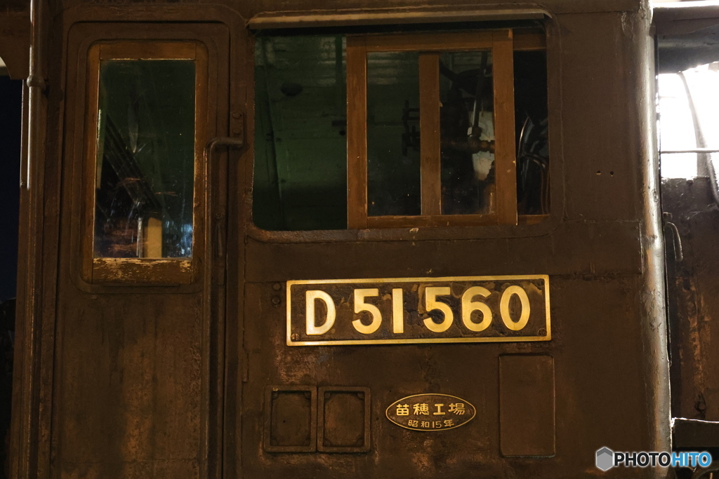 D51560