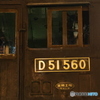 D51560