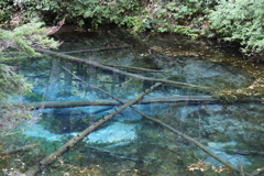 摩周湖の湧き水