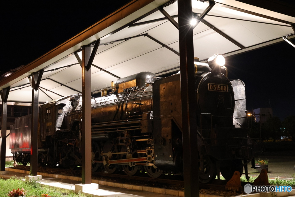 D51