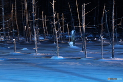 静かな夜のヒトトキ
