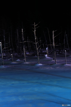 青い池の夜