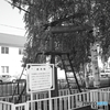 給水柱
