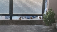 オジャマします。パート2