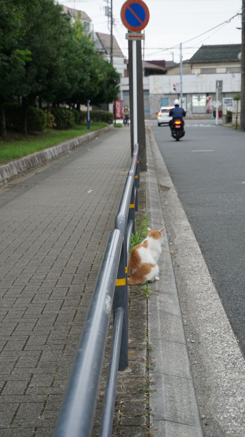 どちらもご安全に〜