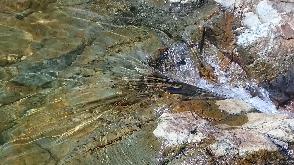 DSC_1486