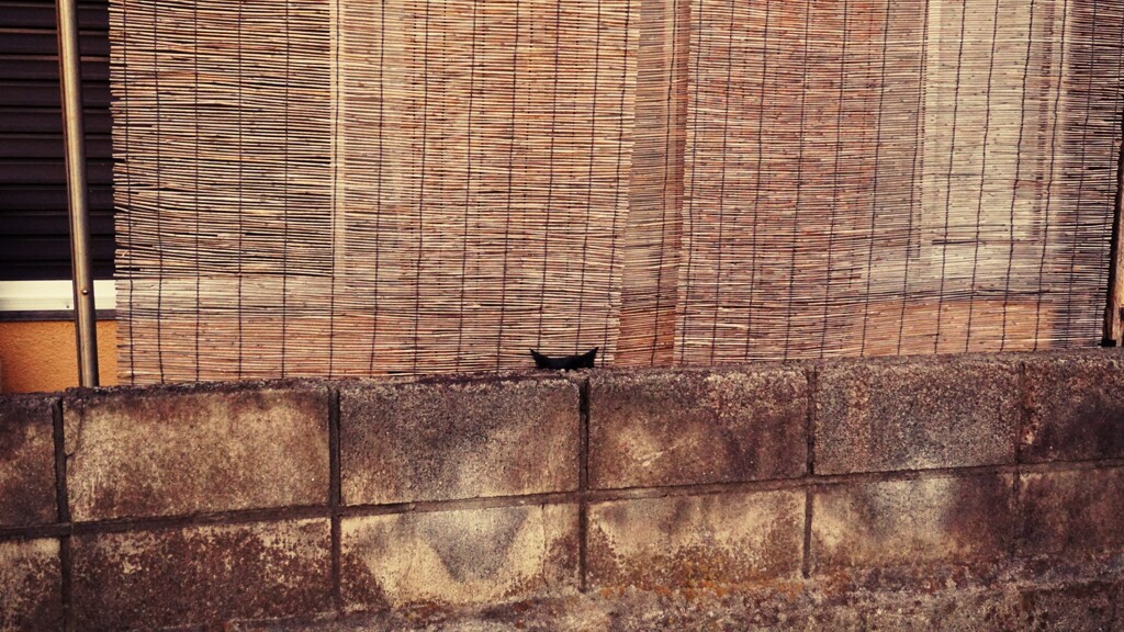 出そうで出てこない