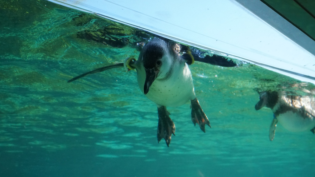 何してんの〜〜〜？