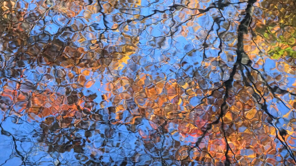 水面に映った紅葉