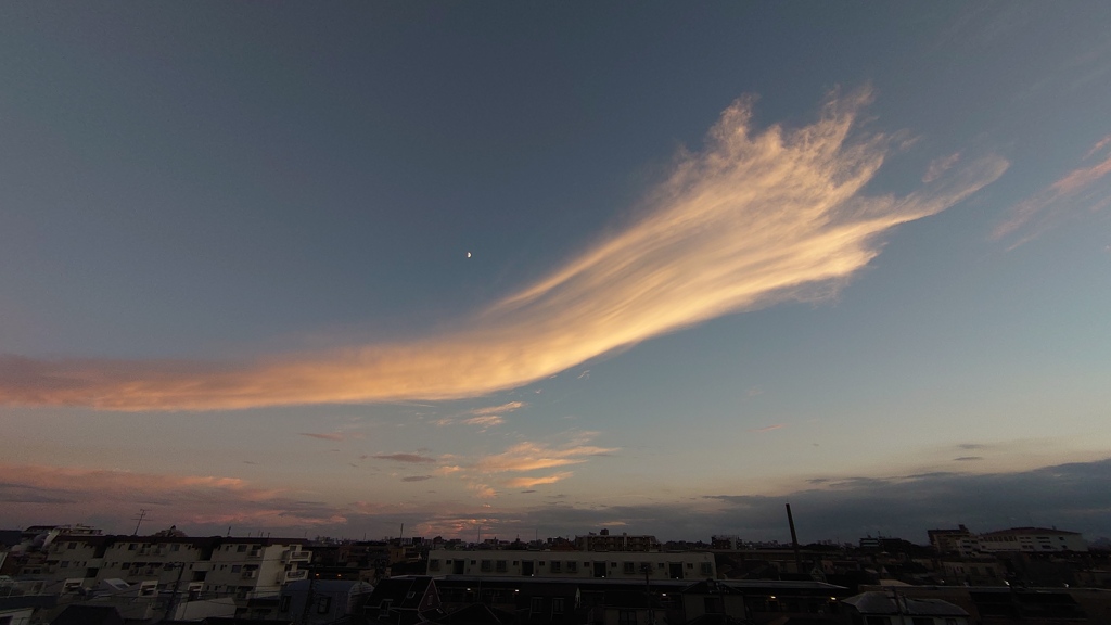 DSC_0785
