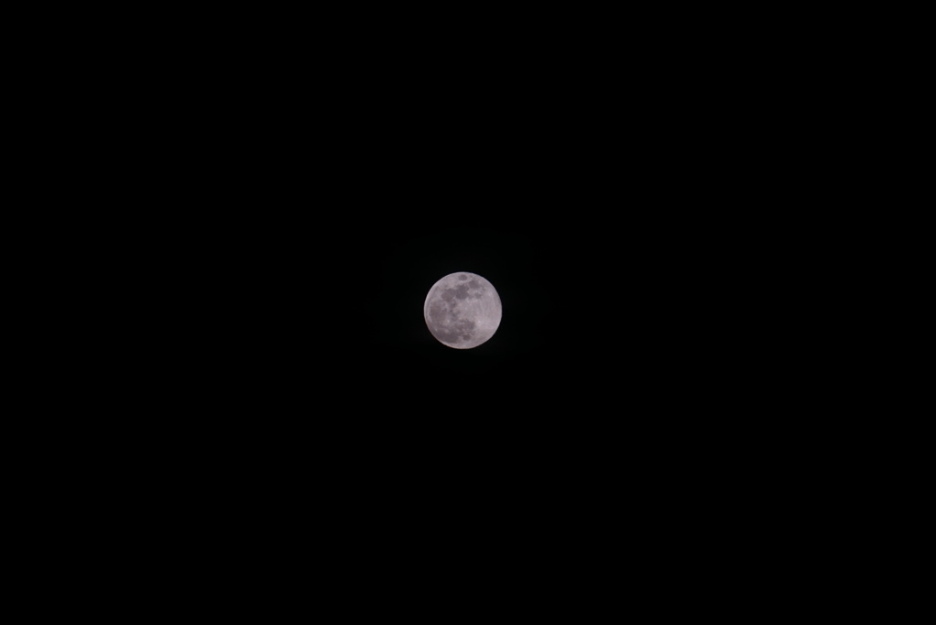 DSC02013