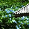 明月院