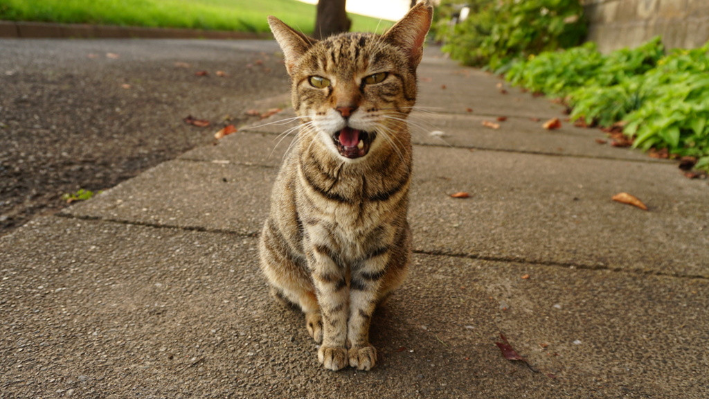 お行儀良いですよ〜♪