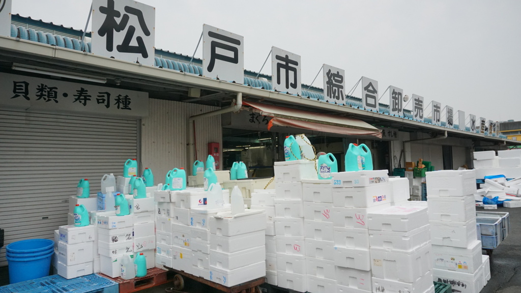 南極のペンギン風