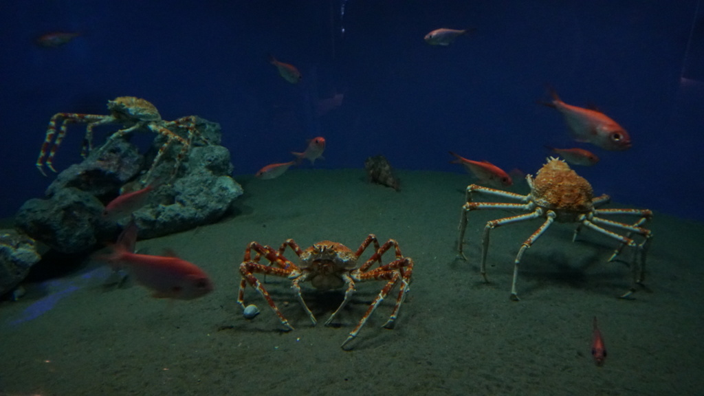 本年もよろしくお願いしますm(_ _)m