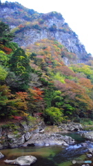 太陽光来ないかな？