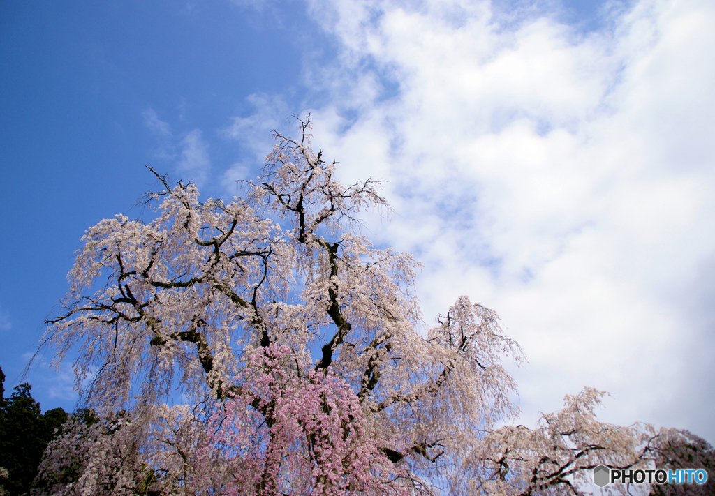 天気いいな～