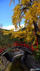 黄金の川準備