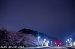 吉井駅～夜桜～