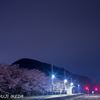 吉井駅～夜桜～