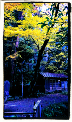 旅人を