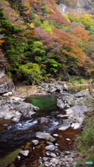 青々