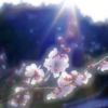 光キュピーン！！～UME～