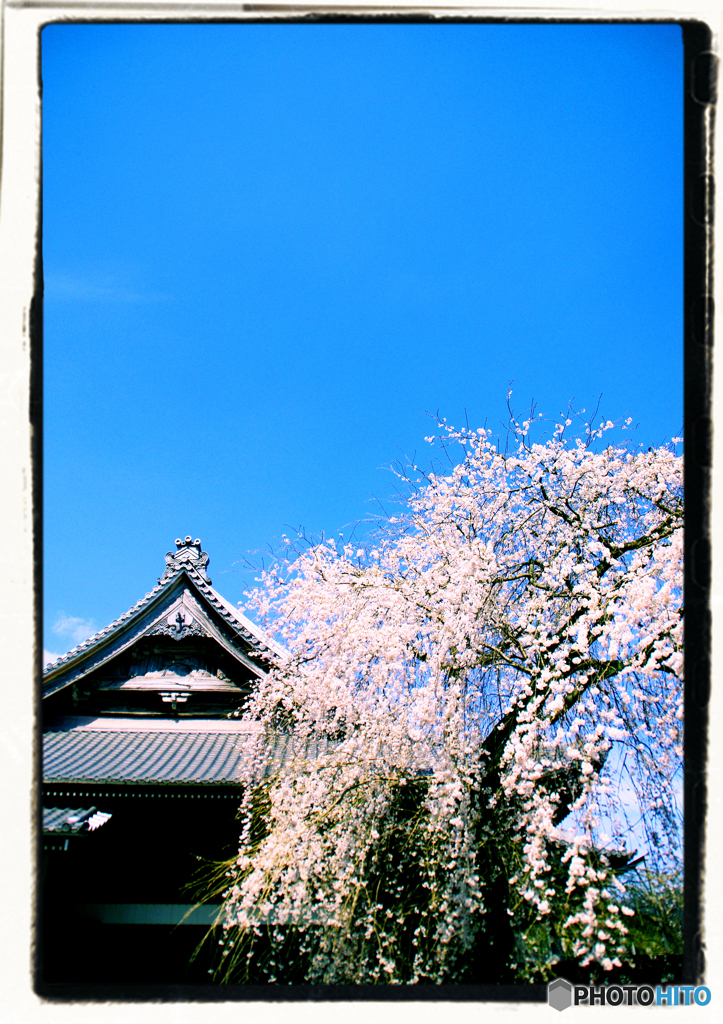 夫婦