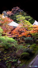 わざと屋根陰を入れて～♪