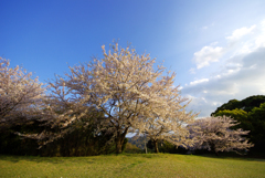 大衆憩いの場