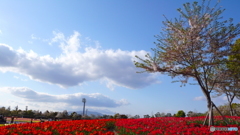 日陰が来たわ♪