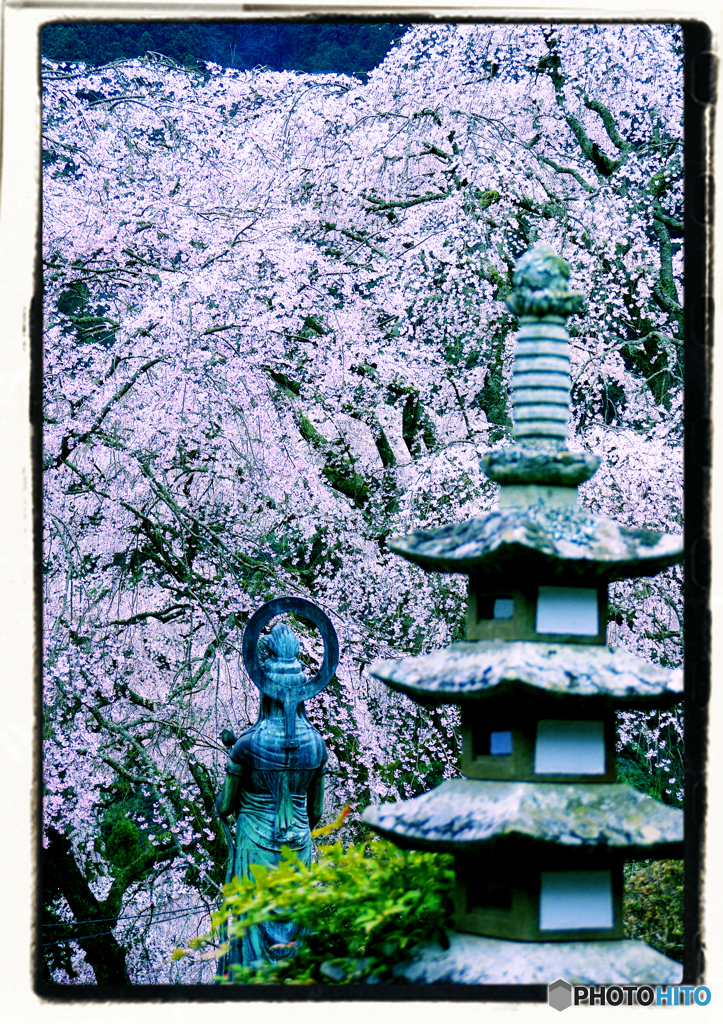 美しい～