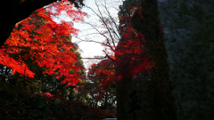 シンメトリー