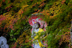 紅葉というオーラ