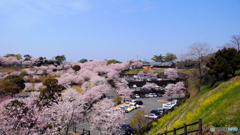 駆け下りる