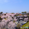 駆け下りる