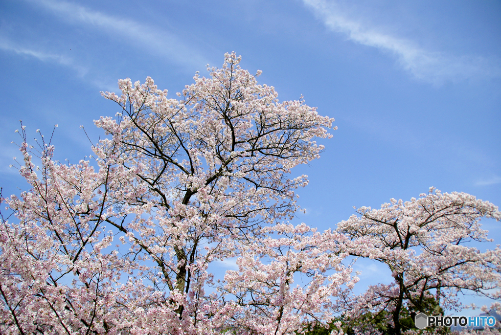 上は気持ちいいな～