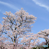上は気持ちいいな～