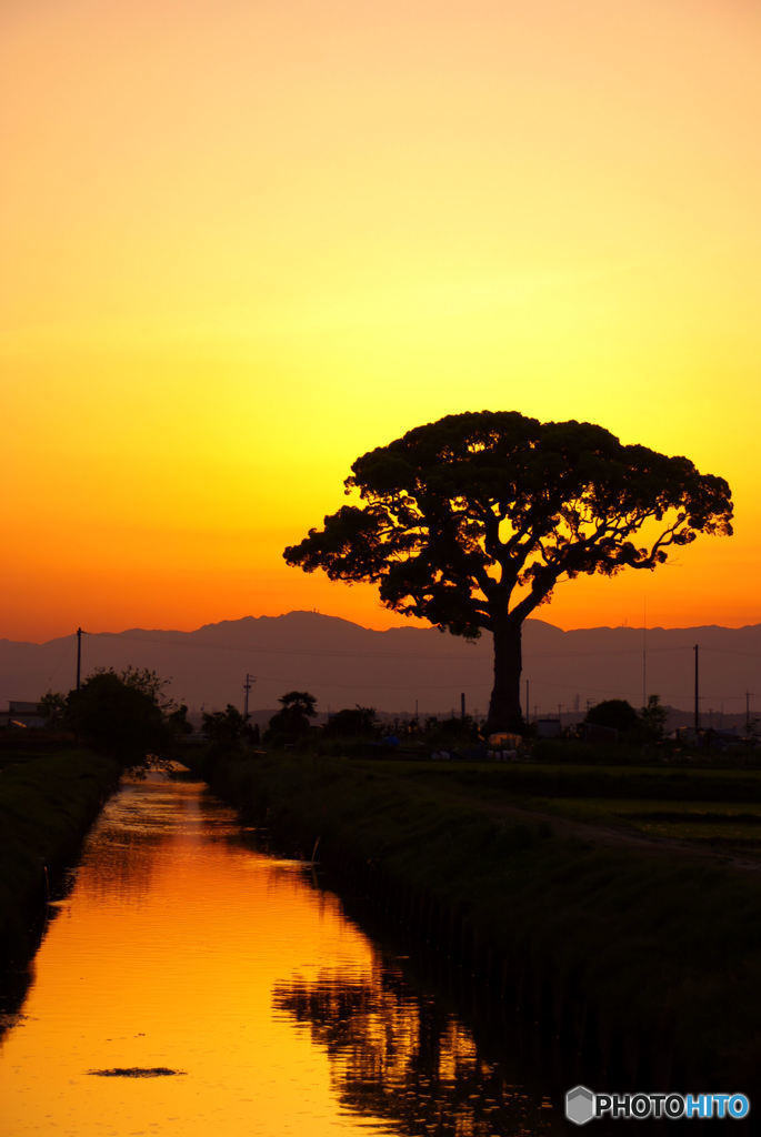 ある風景
