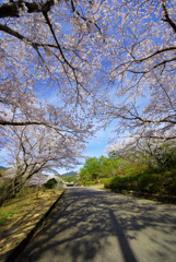 従業員の通い慣れた道