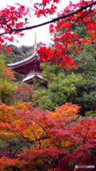 チラ見