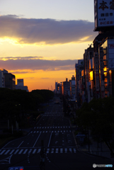 建物に反射する夕光