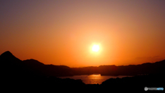 山吹黒