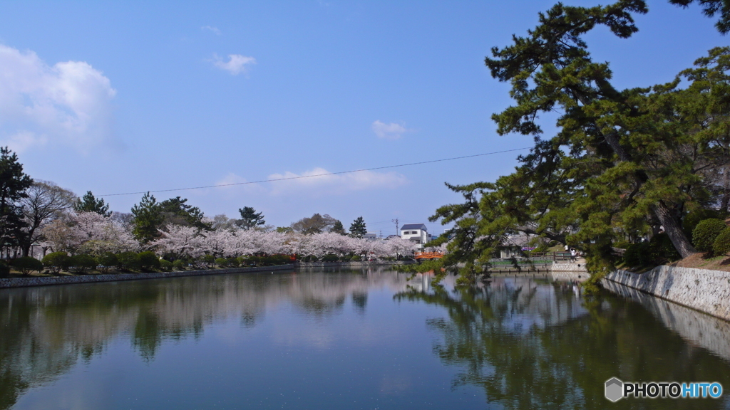 暑いから水遊び
