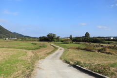 傷心を抱いて故郷に帰る